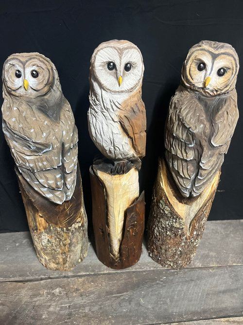 Wood Carver - Owls